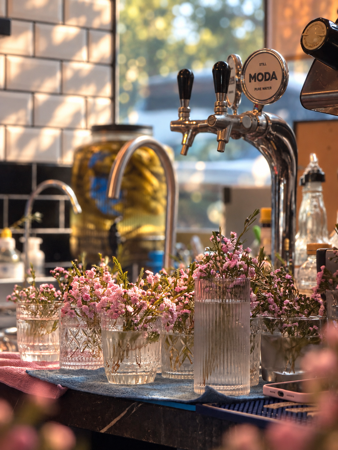 Pink flowers in glass vases beneath chrome taps at a sunlit counter.